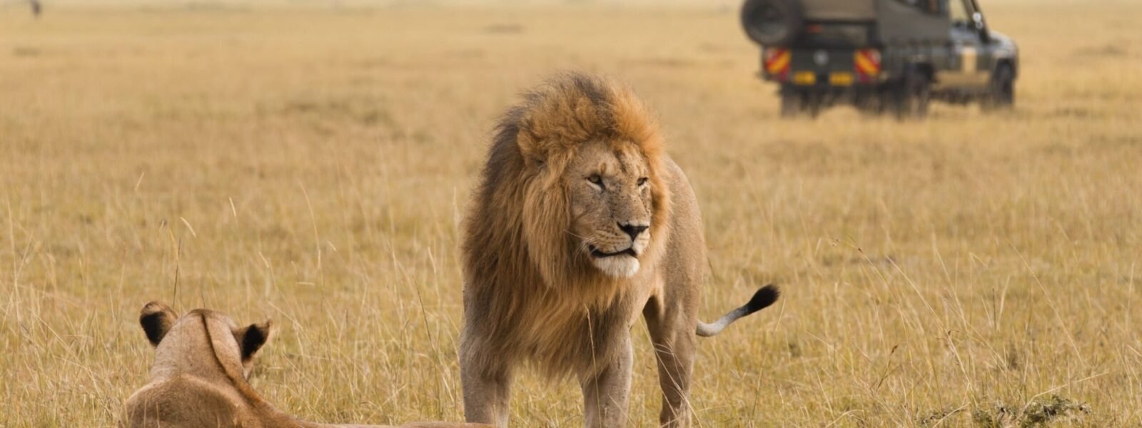 Chyulu Hills National Park