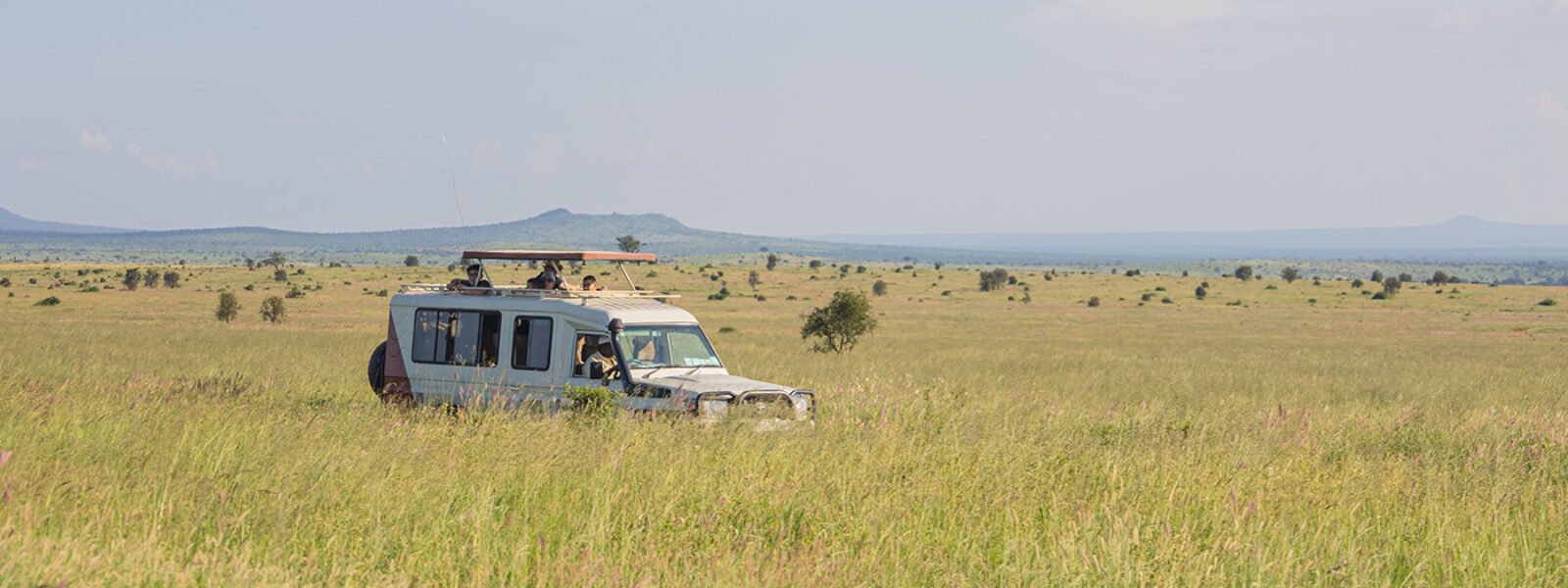 Taita Hills Wildlife Sanctuary