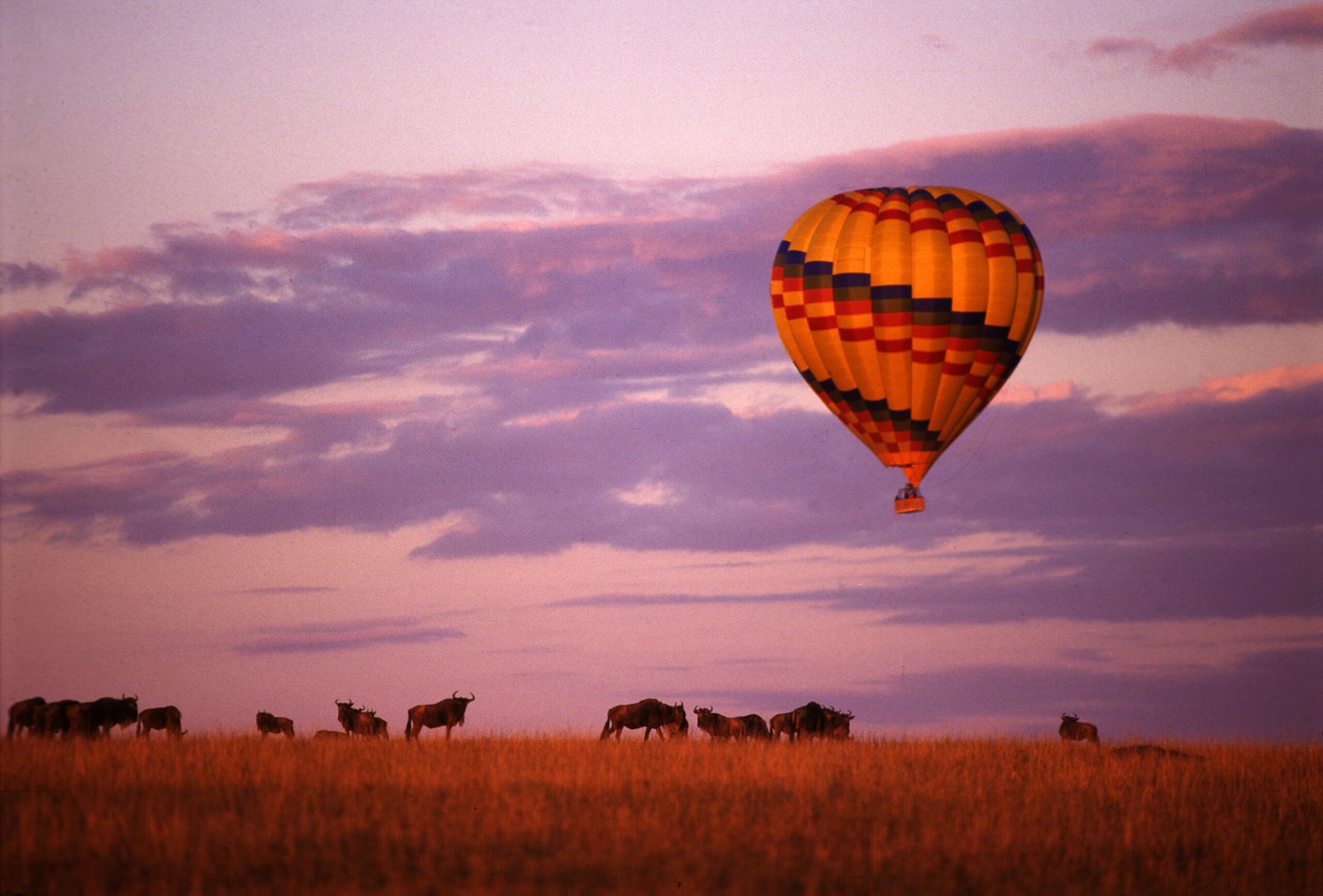 Indulgence & Luxury Safaris