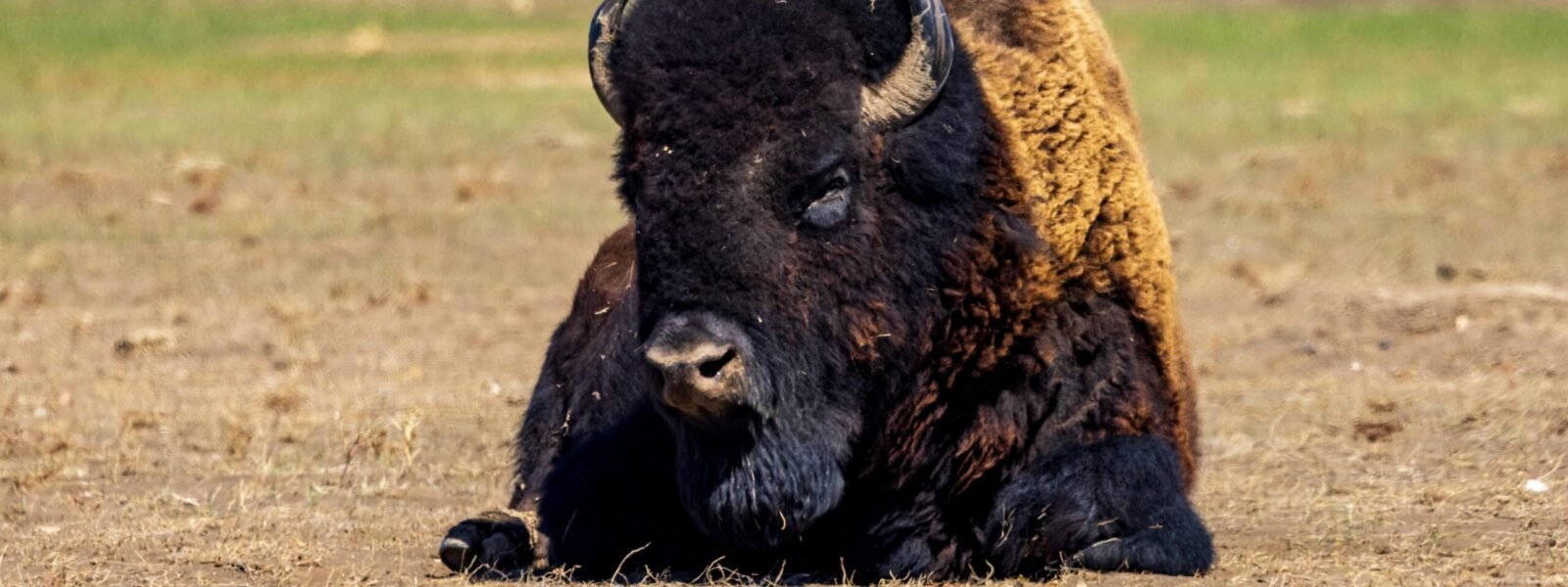 Mgahinga Gorilla National Park