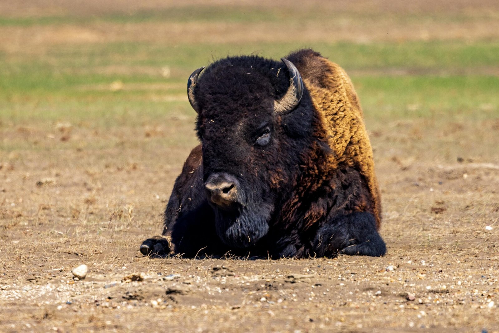 Mgahinga Gorilla National Park