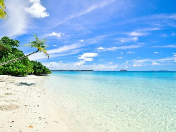 11 Days Kenya: Tsavo & Beach