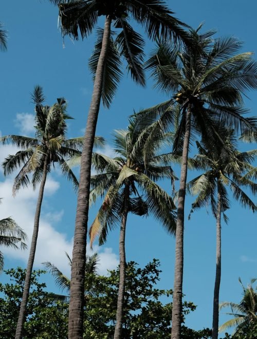 10 Days Kenya: Safari Around Mombasa & Beach