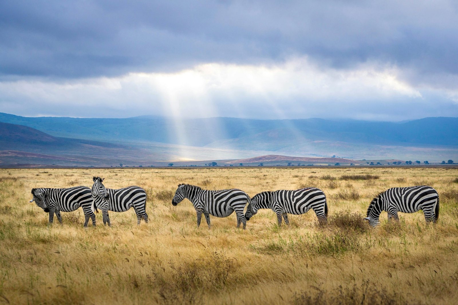 Ngorongoro Crater