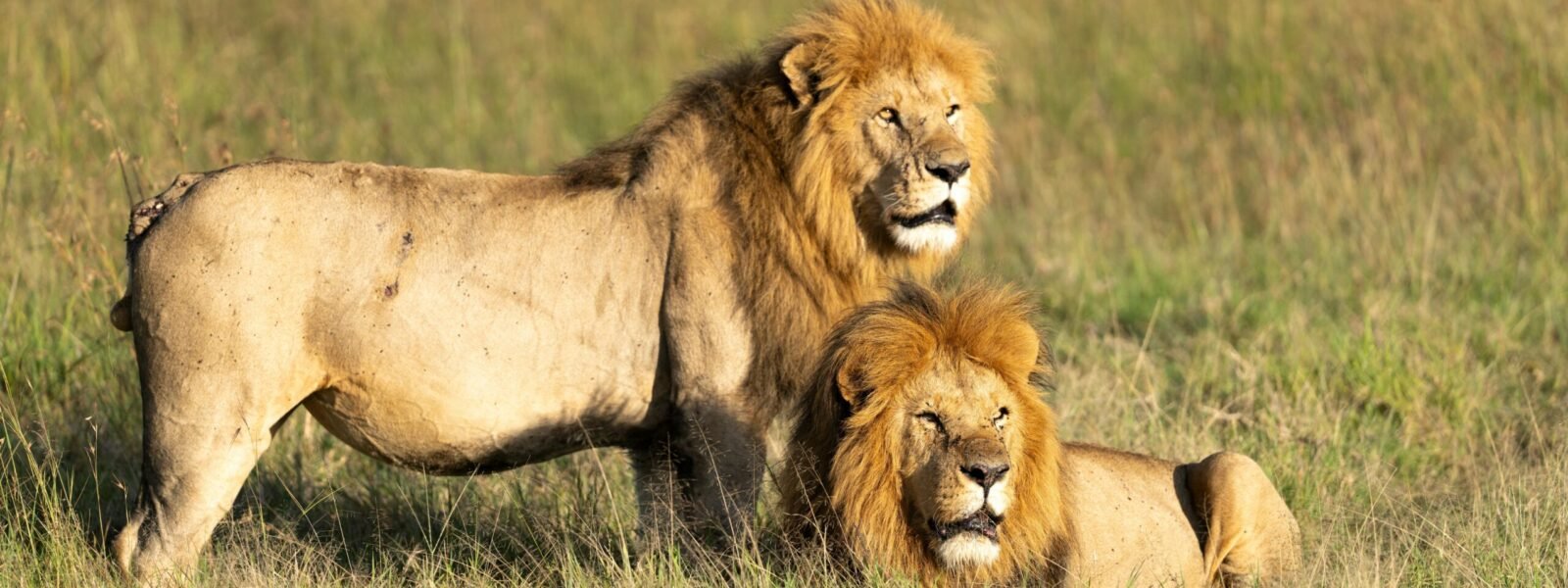 Queen Elizabeth National Park