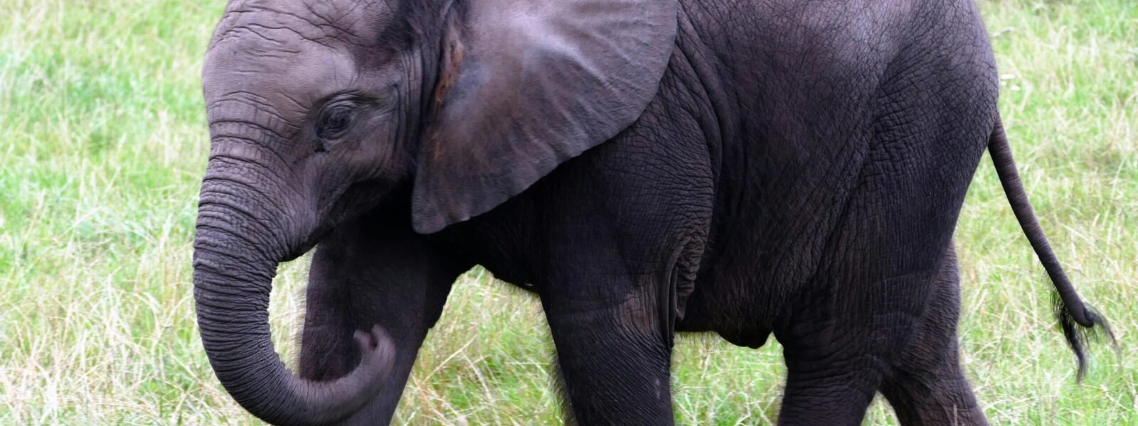 Lake Mburo National Park
