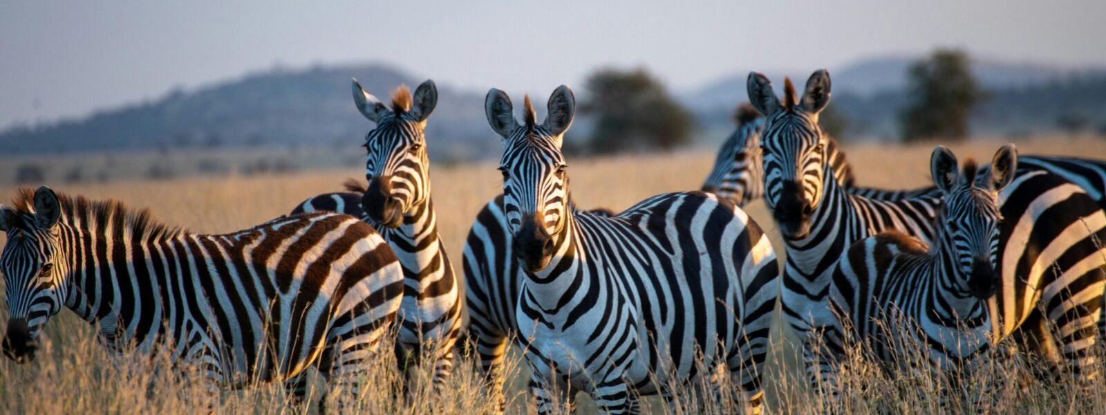 Mount Elgon National Park