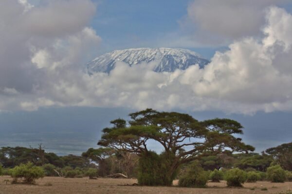 4 Days Safari in Amboseli National Park