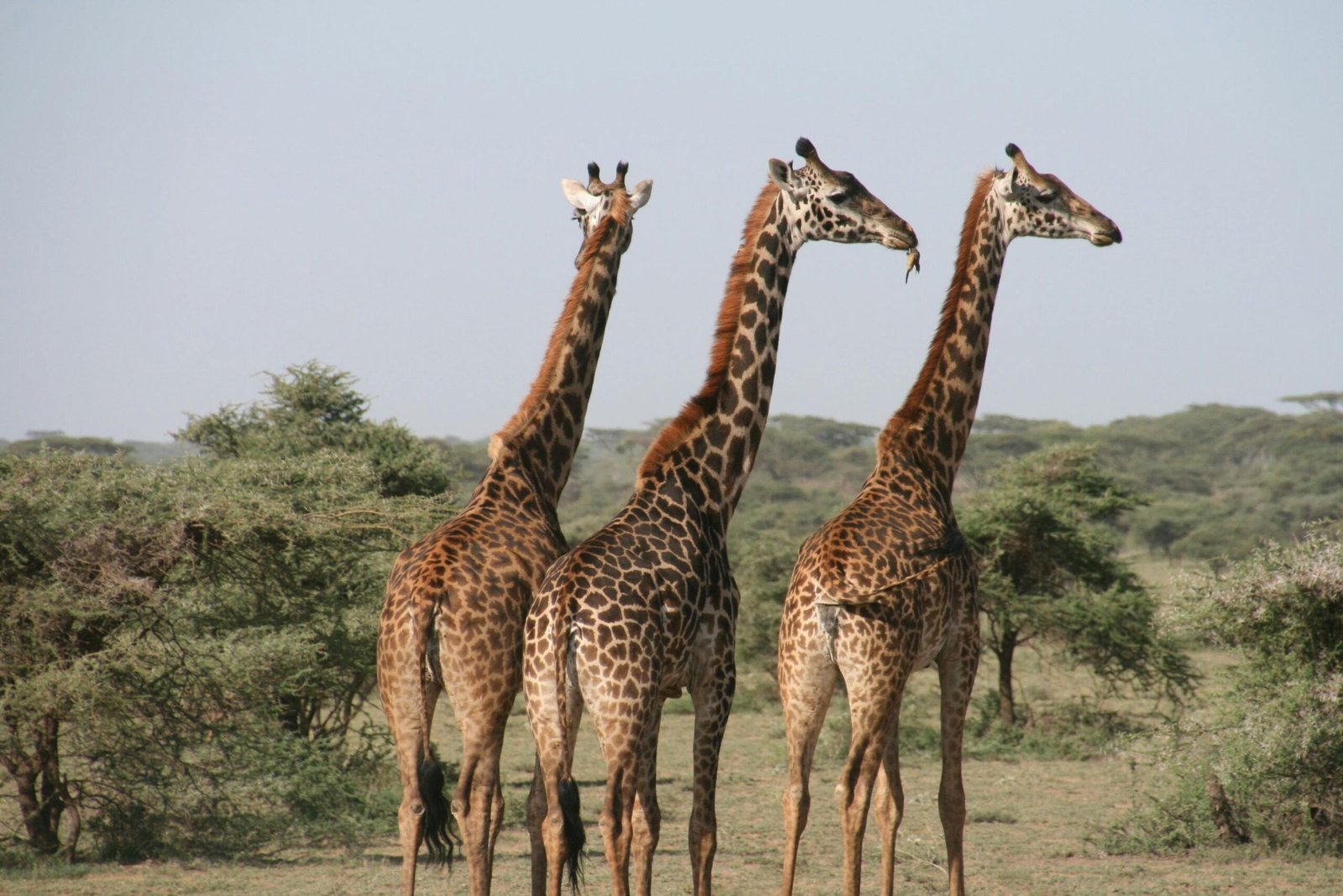 Family Friendly Tours