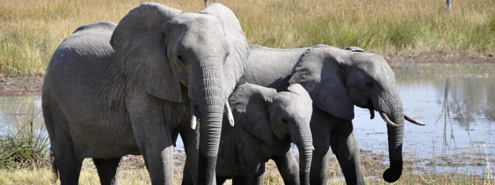 Amboseli National Park