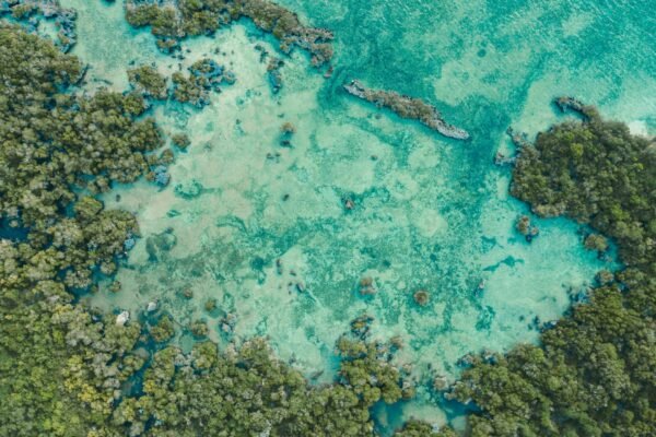 The Zest of Zanzibar