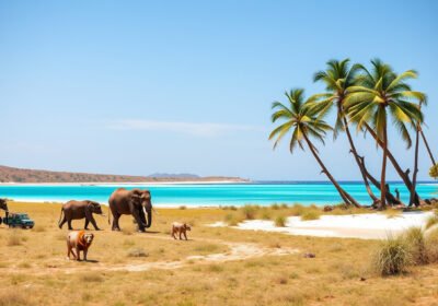 Experience the Best of Kenya: Unforgettable Safari & Beach Packages Await You!