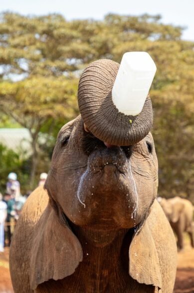 pexels-mr-sketch-55235740-33382573